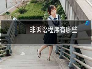 非诉讼程序有哪些