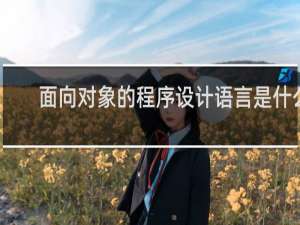 面向对象的程序设计语言是什么