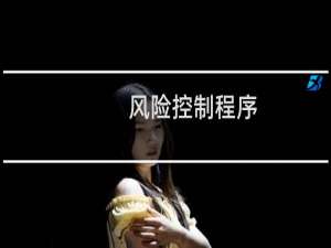 风险控制程序