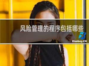 风险管理的程序包括哪些