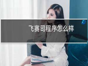 飞赛司程序怎么样