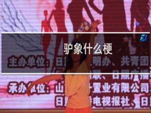 驴象什么梗