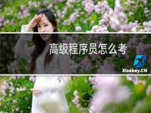 高级程序员怎么考