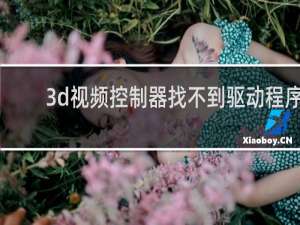3d视频控制器找不到驱动程序