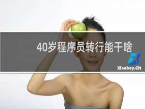 40岁程序员转行能干啥