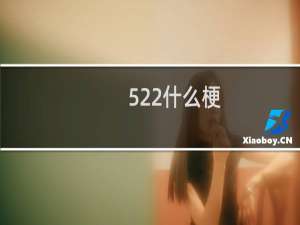 522什么梗