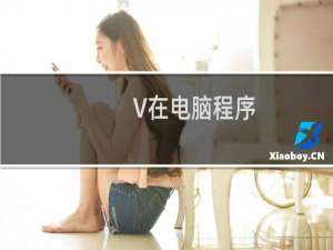 V在电脑程序