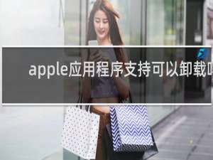 apple应用程序支持可以卸载吗