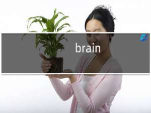 brain boom攻略
