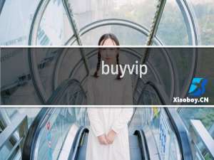 buyvip 攻略