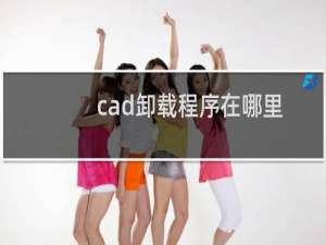 cad卸载程序在哪里