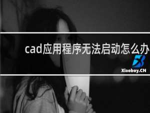 cad应用程序无法启动怎么办