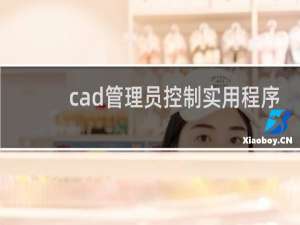 cad管理员控制实用程序