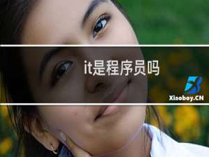 it是程序员吗