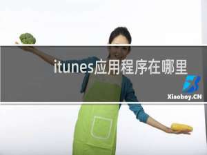 itunes应用程序在哪里