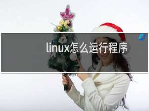 linux怎么运行程序