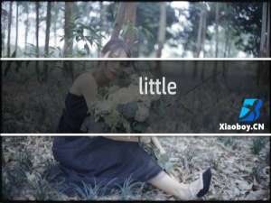 little unicorn攻略
