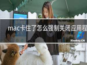 mac卡住了怎么强制关闭应用程序