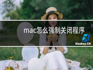 mac怎么强制关闭程序