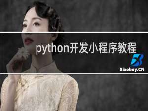 python开发小程序教程