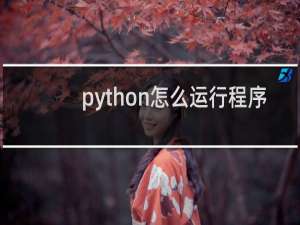 python怎么运行程序