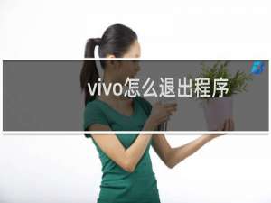 vivo怎么退出程序