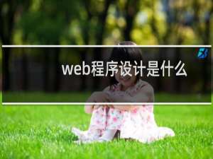 web程序设计是什么