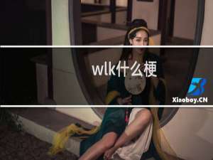 wlk什么梗