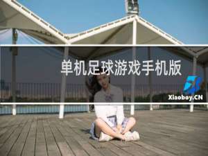 单机足球游戏手机版