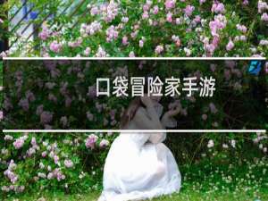口袋冒险家手游