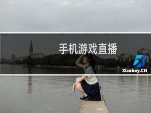 手机游戏直播