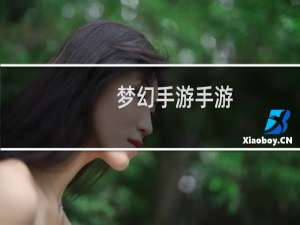 梦幻手游手游