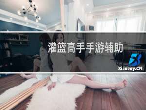 灌篮高手手游辅助
