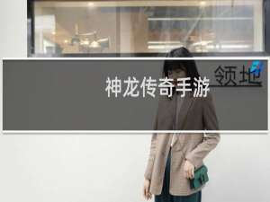 神龙传奇手游
