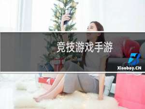 竞技游戏手游