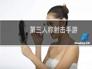 第三人称射击手游