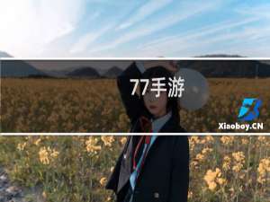 77手游