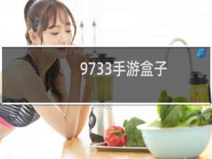 9733手游盒子