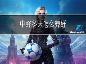 中蜂冬天怎么养好