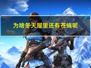 为啥冬天屋里还有苍蝇呢