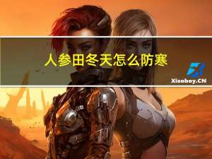 人参田冬天怎么防寒