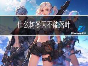 什么树冬天不能落叶