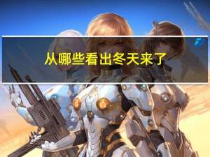 从哪些看出冬天来了