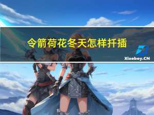 令箭荷花冬天怎样扦插