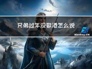 兄弟过年没敬酒怎么说