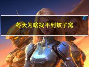 冬天为啥找不到蚊子窝