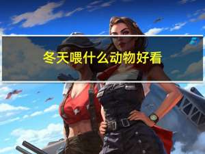 冬天喂什么动物好看