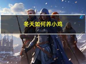 冬天如何养小鸡