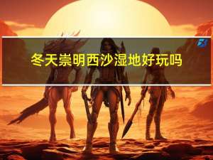 冬天崇明西沙湿地好玩吗