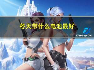 冬天带什么电池最好